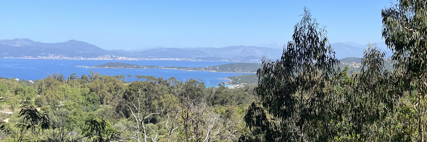 Michaël Andreani banner