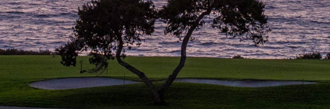 W3DO's profile banner image