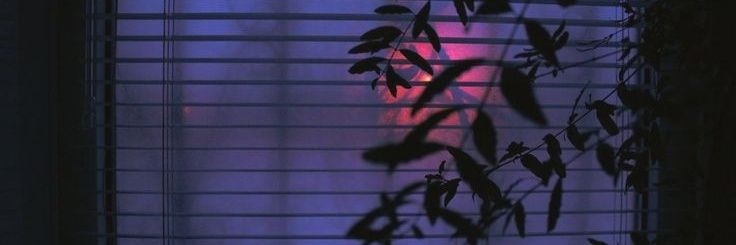 joaodbrito's profile banner image