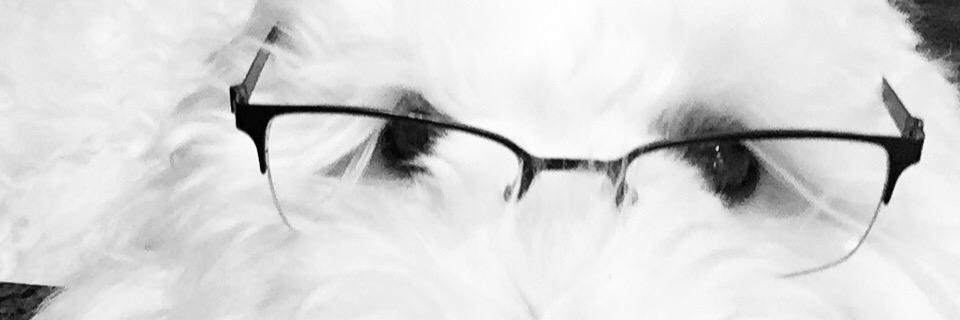 wes__waters's profile banner image