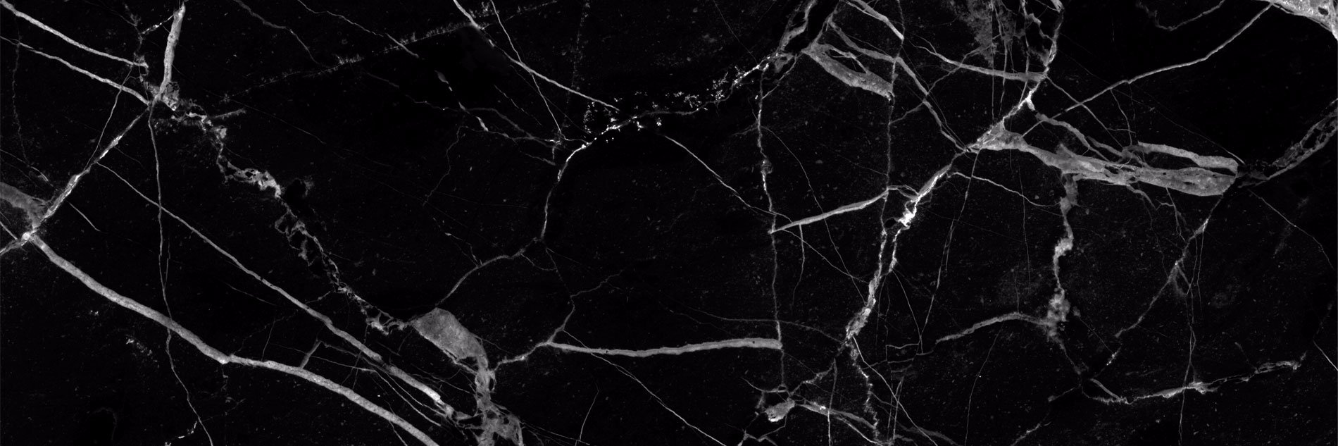 lexabutera's profile banner image