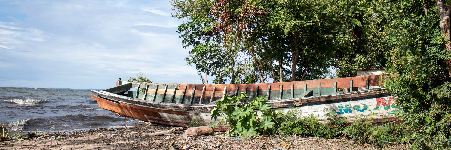 danitarrino's profile banner image