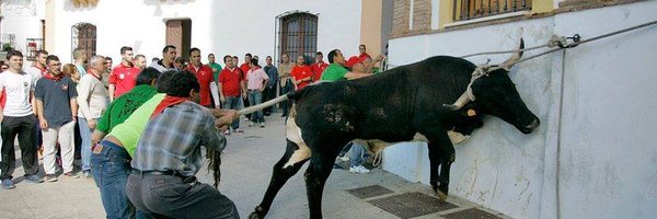 Isanimalista Profile Banner