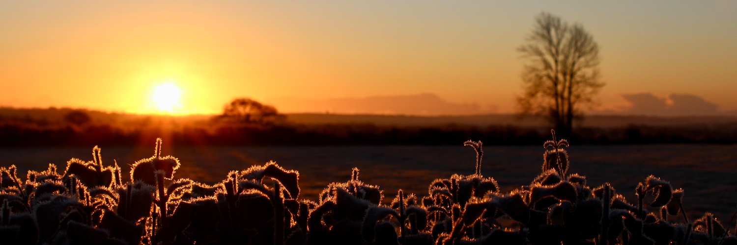 Jonathan Healy banner