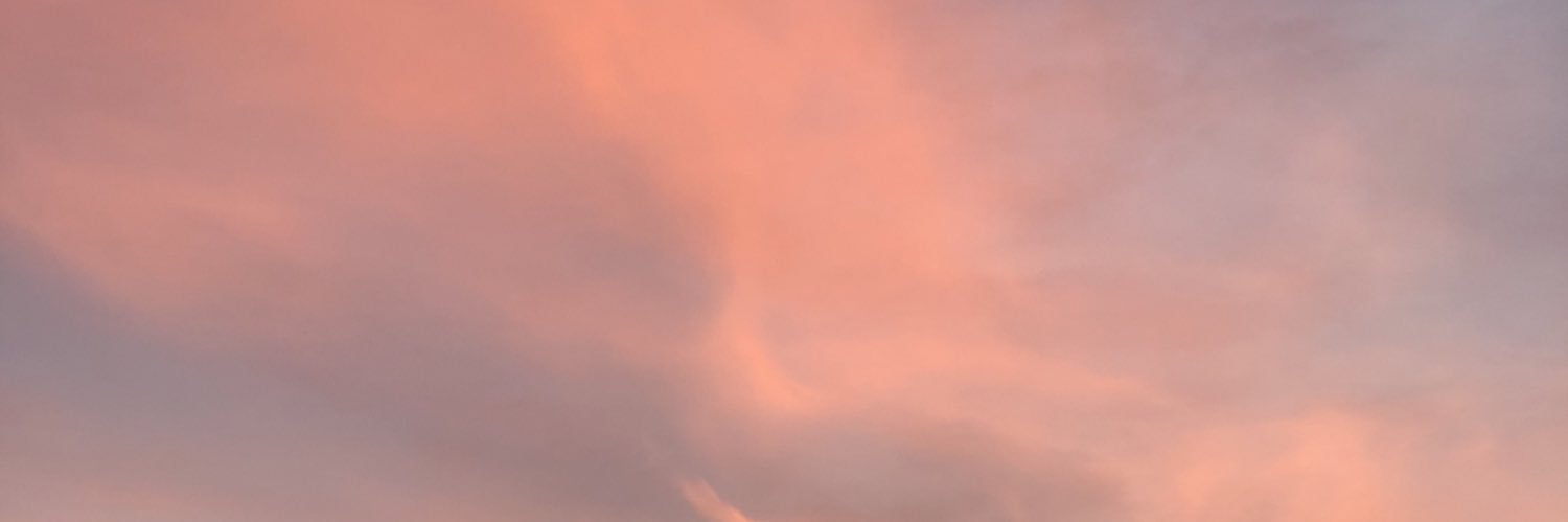 ZandoDando's profile banner image