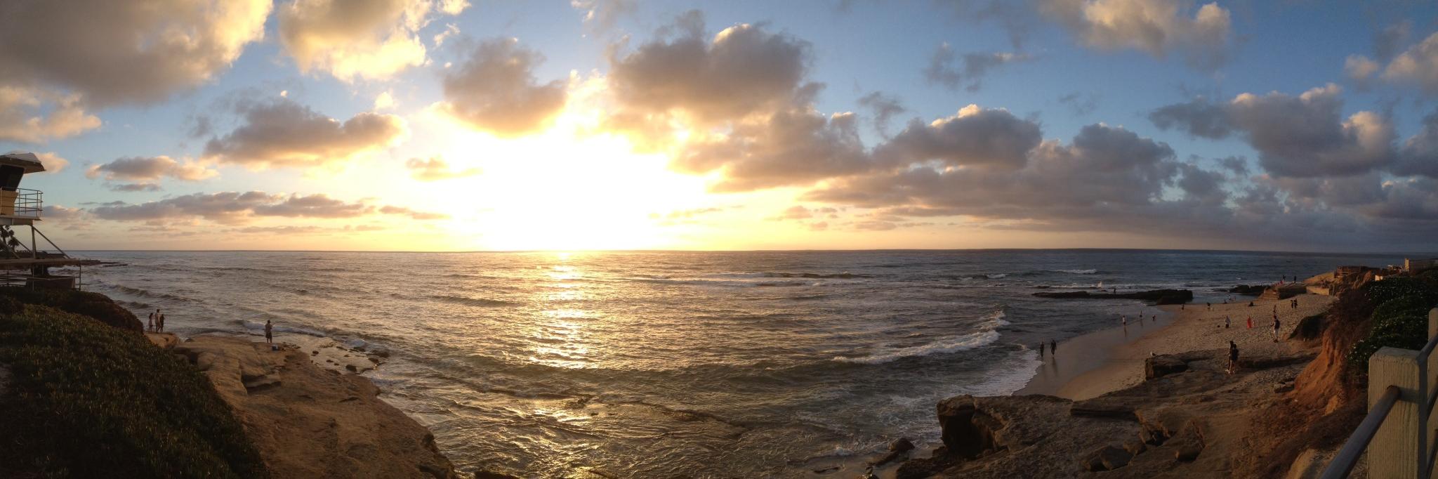 Brin Rosenthal, Ph.D. banner