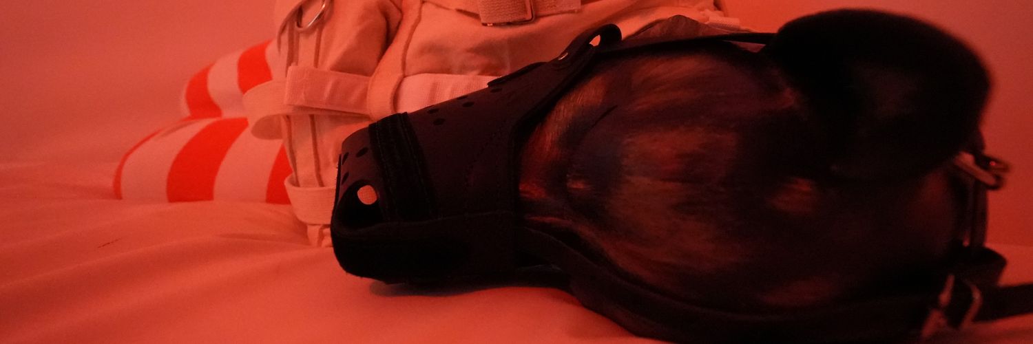 Tug collar, Get reward. banner