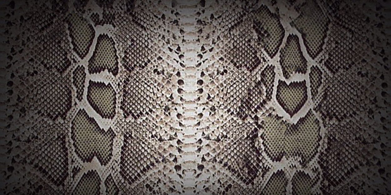 Ryan ‎⍟ banner