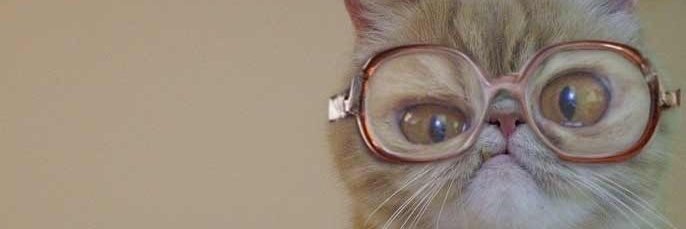 lucyysarge's profile banner image