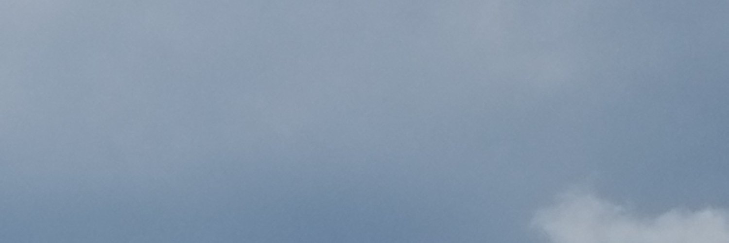 Maez banner