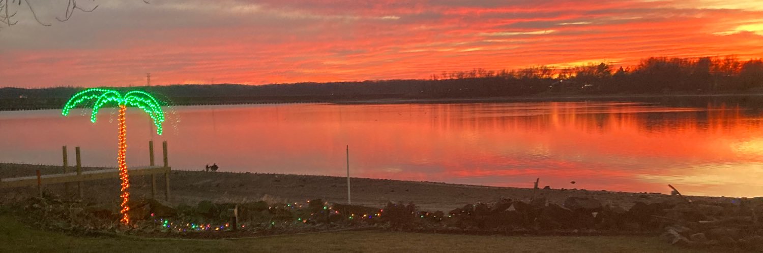 Nancy A Nanes banner