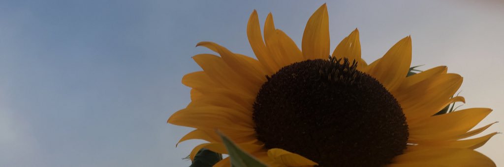 mckaitlin's profile banner image