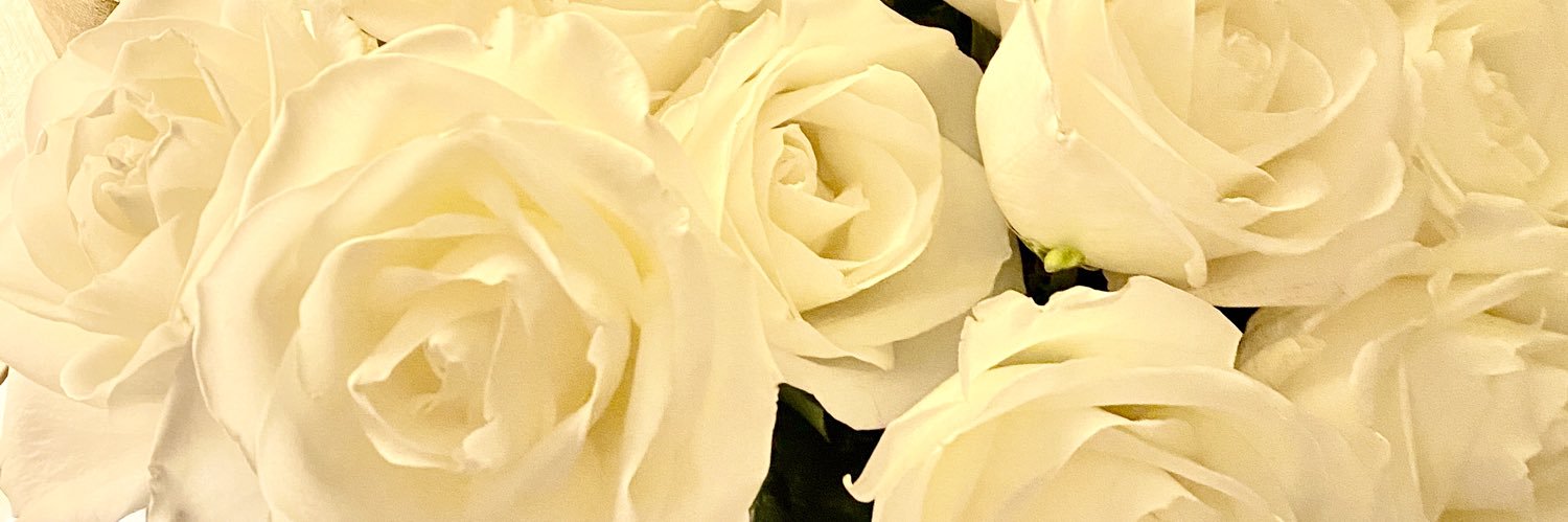 zulemas15's profile banner image