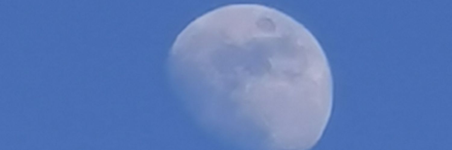 ladyevilly's profile banner image