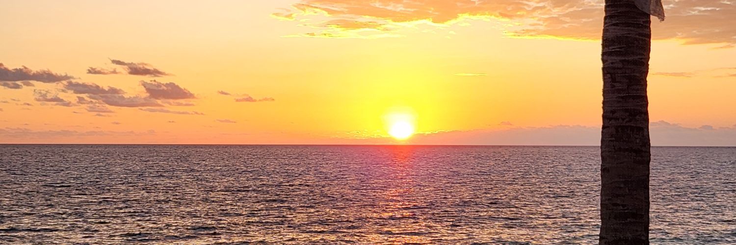 douglascgardner's profile banner image