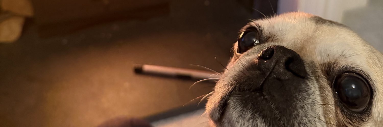 tomglover91's profile banner image
