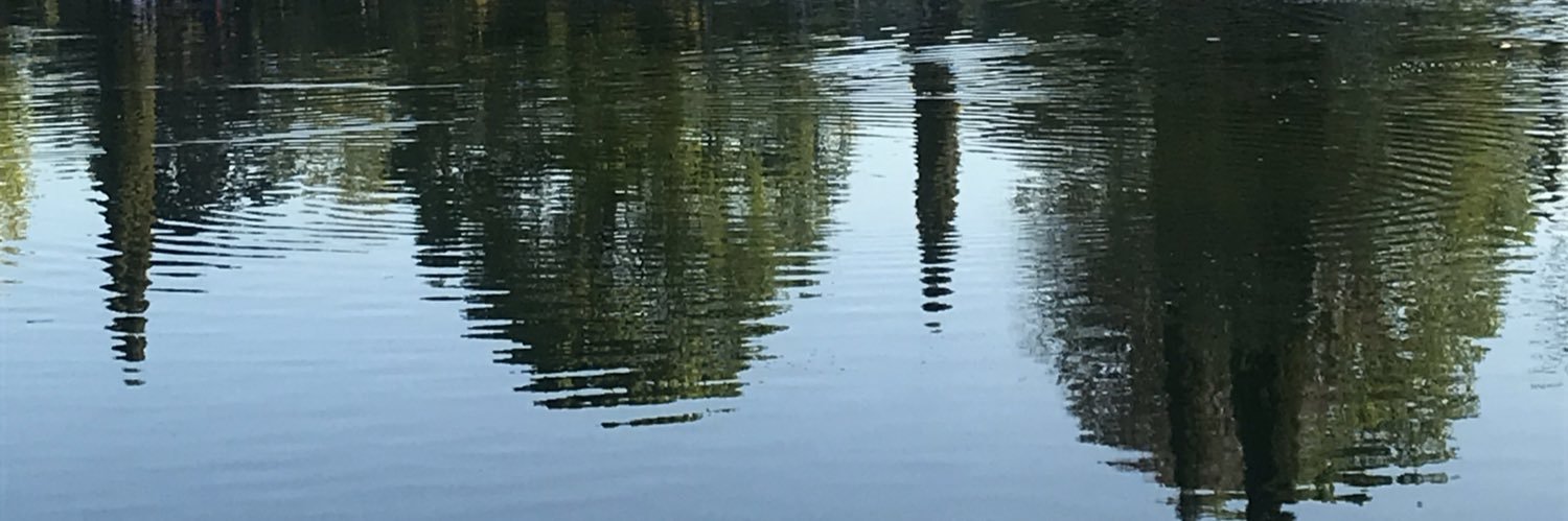 FridaManiac's profile banner image