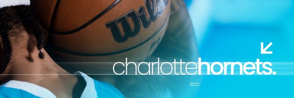 hornets Profile Banner