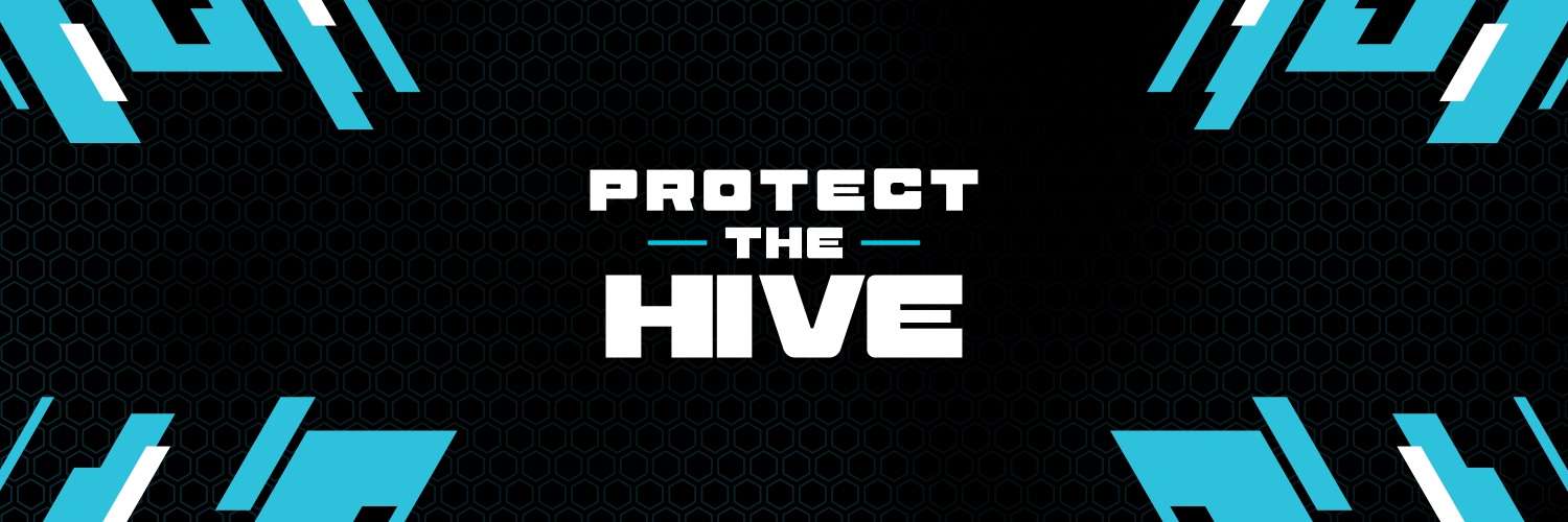 Charlotte Hornets banner