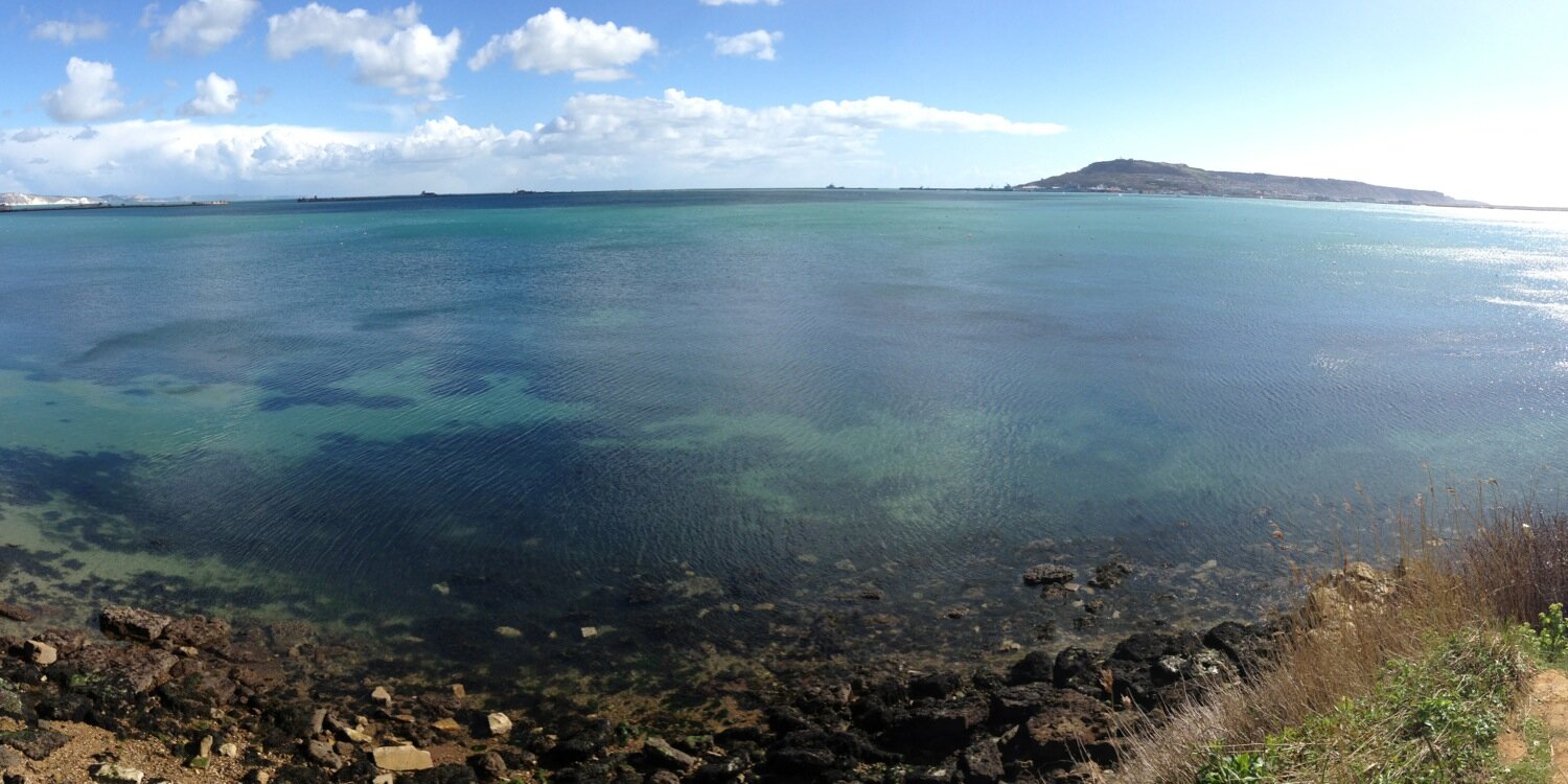 Ashton Milton banner