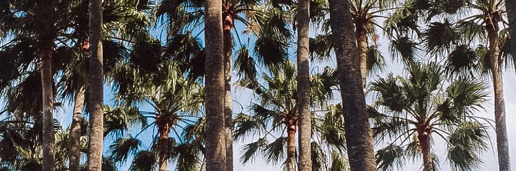 JessReid_'s profile banner image
