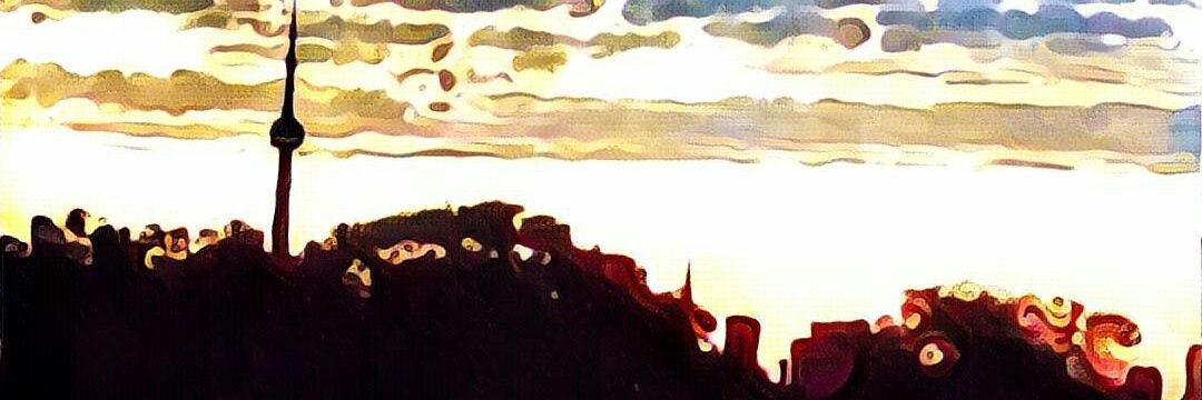 llamaroo's profile banner image