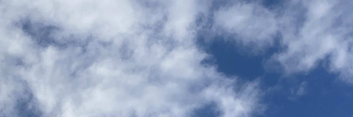 Marapelle's profile banner image