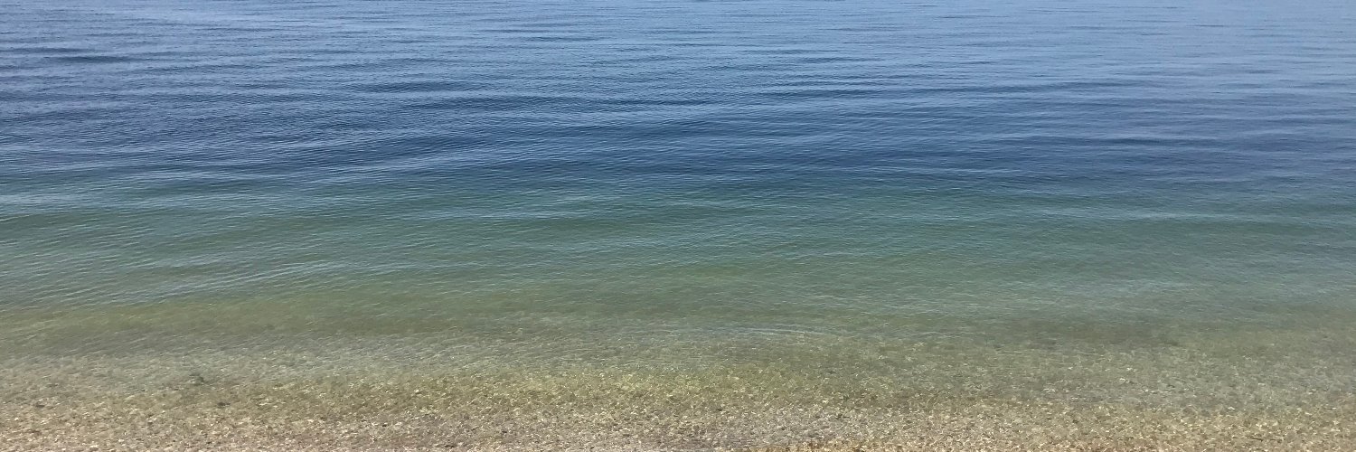 erin_elio's profile banner image