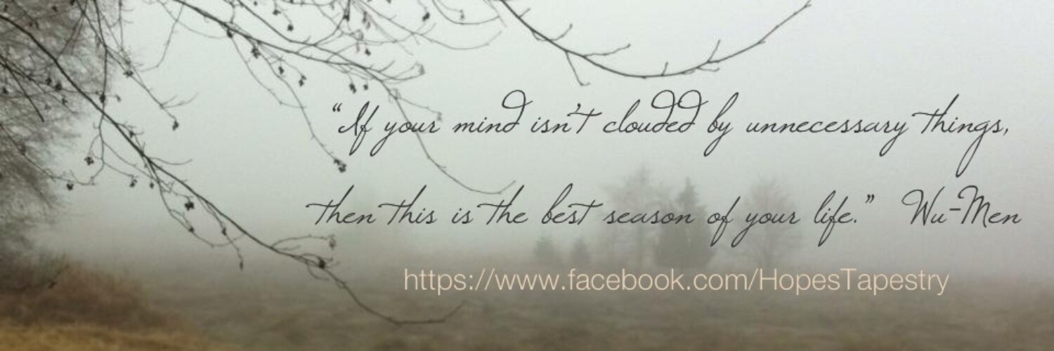 Catherine Darnell banner