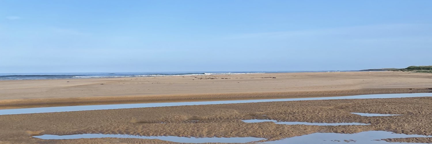 CatyLou1's profile banner image