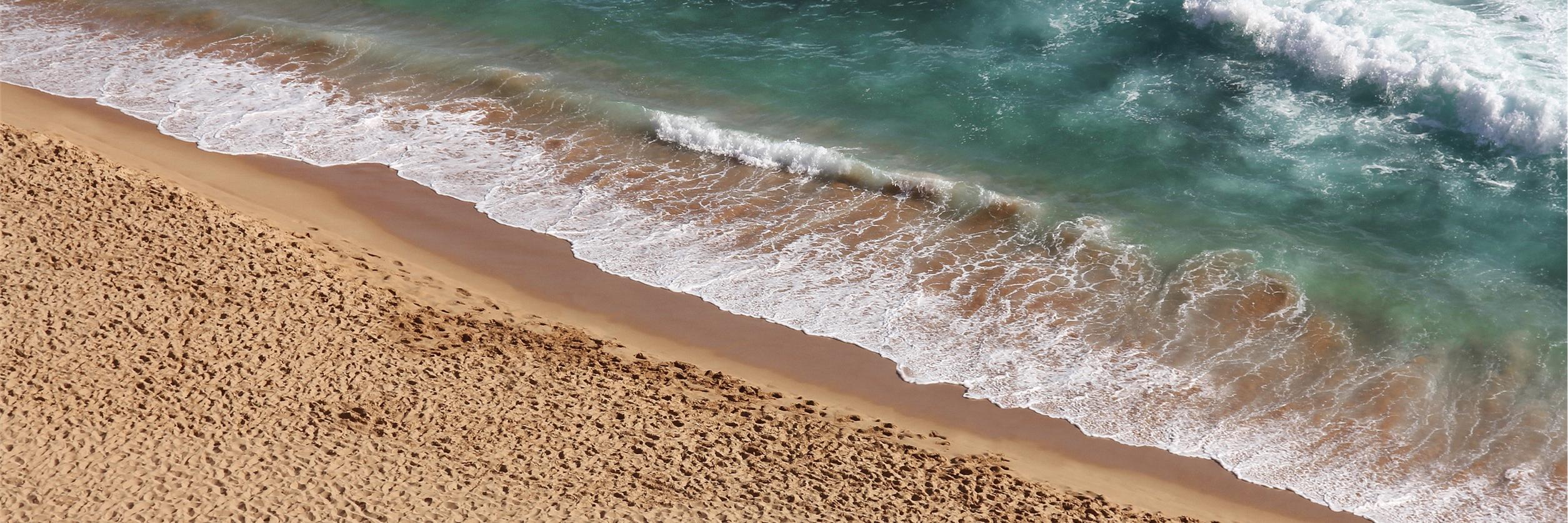 Liz Jackson MBE banner