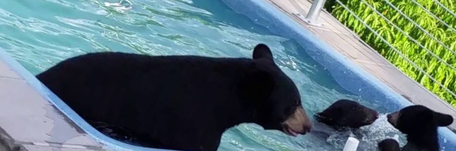 rgoldrick's profile banner image