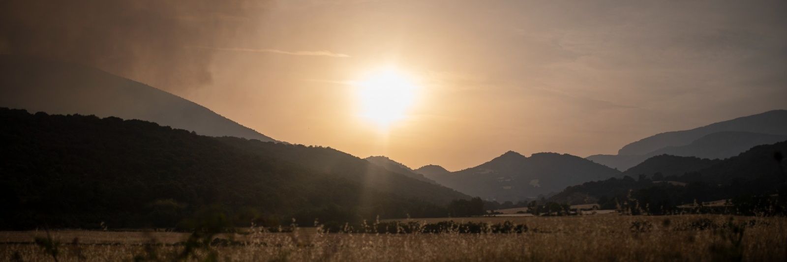 Lorena Sopena 📸∞#NouBarris banner