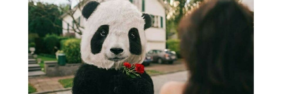 Neysflowers's profile banner image