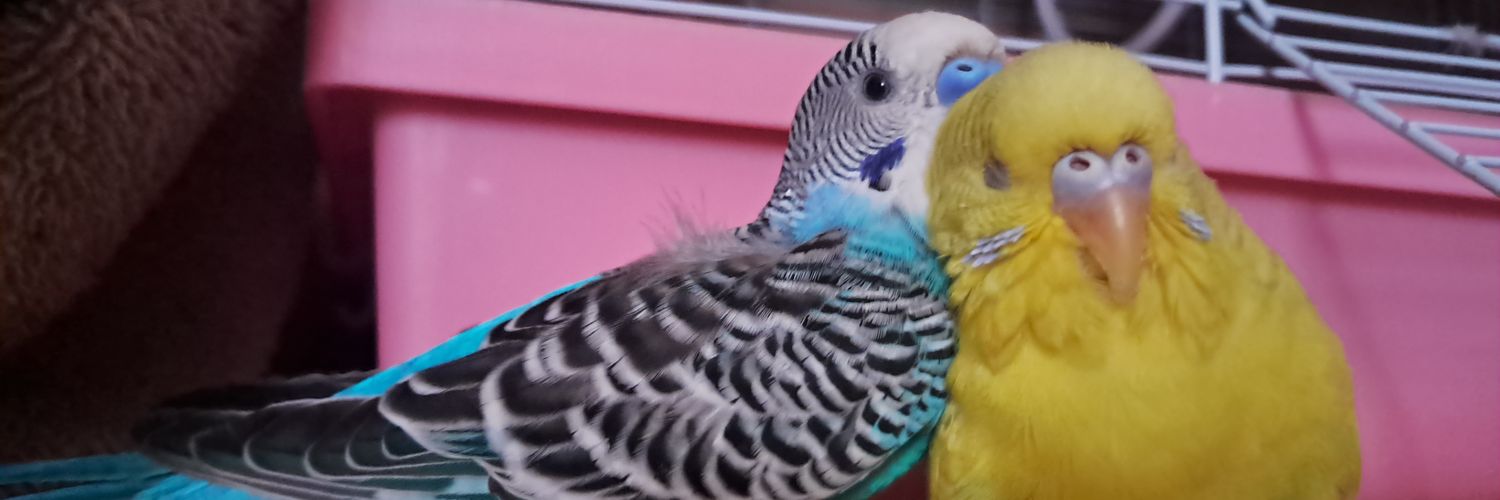 Maya, cinematic demoness 🏳️‍⚧️🍉 banner