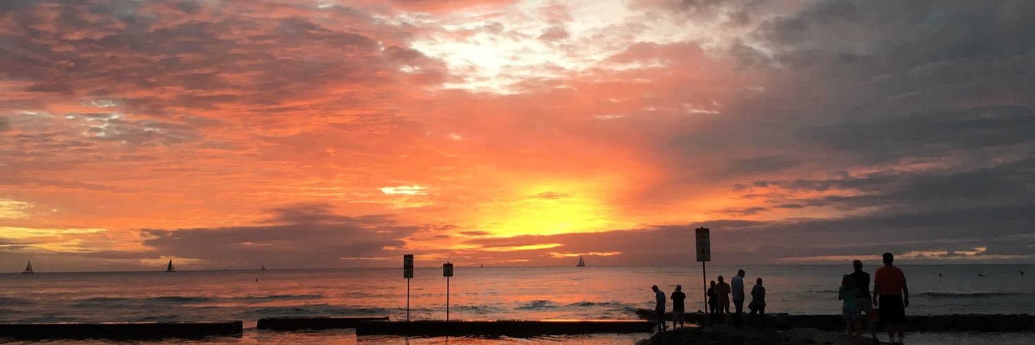 Ashley Pilcher banner