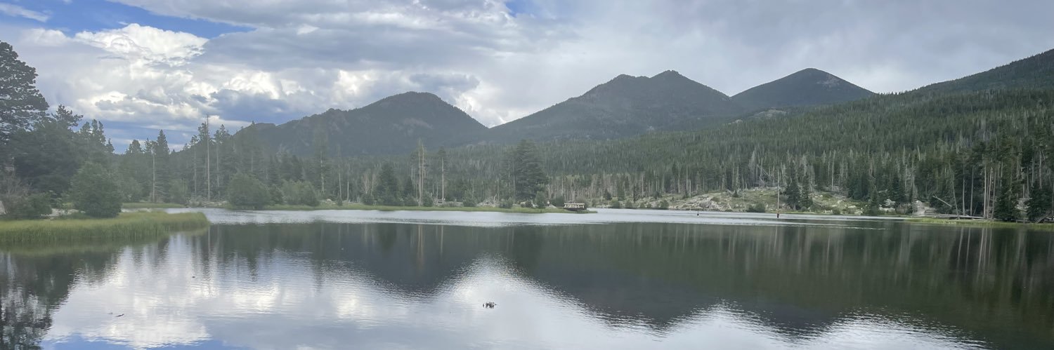 Profe Jackson banner