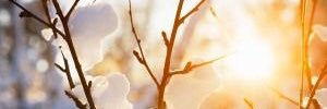 Angiecaps's profile banner image