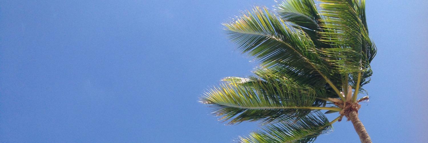 lecontrera's profile banner image