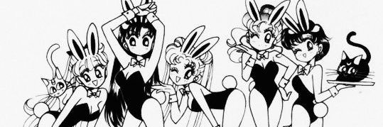_kittichu's profile banner image
