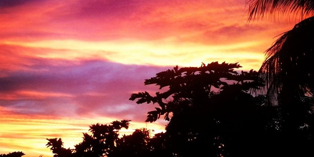 ROBSON_F_VIANA's profile banner image