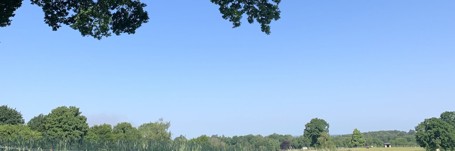 luciwhite's profile banner image