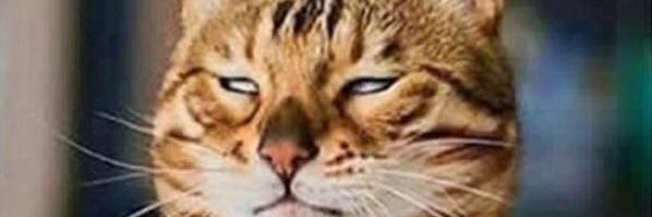 Claudia_real's profile banner image