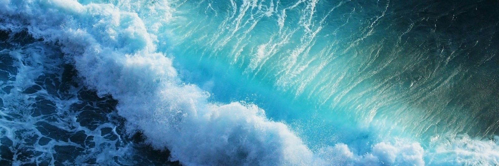 Lisa Selk 🌻🌊💙🗳️✌🏼 banner