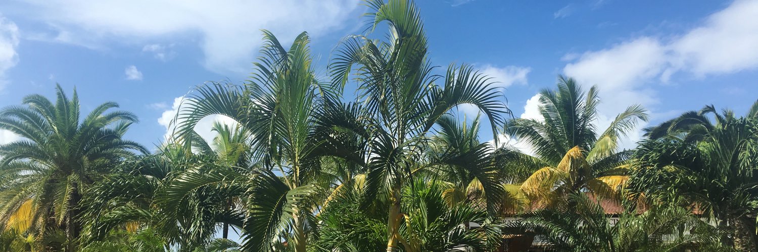ebruperry's profile banner image
