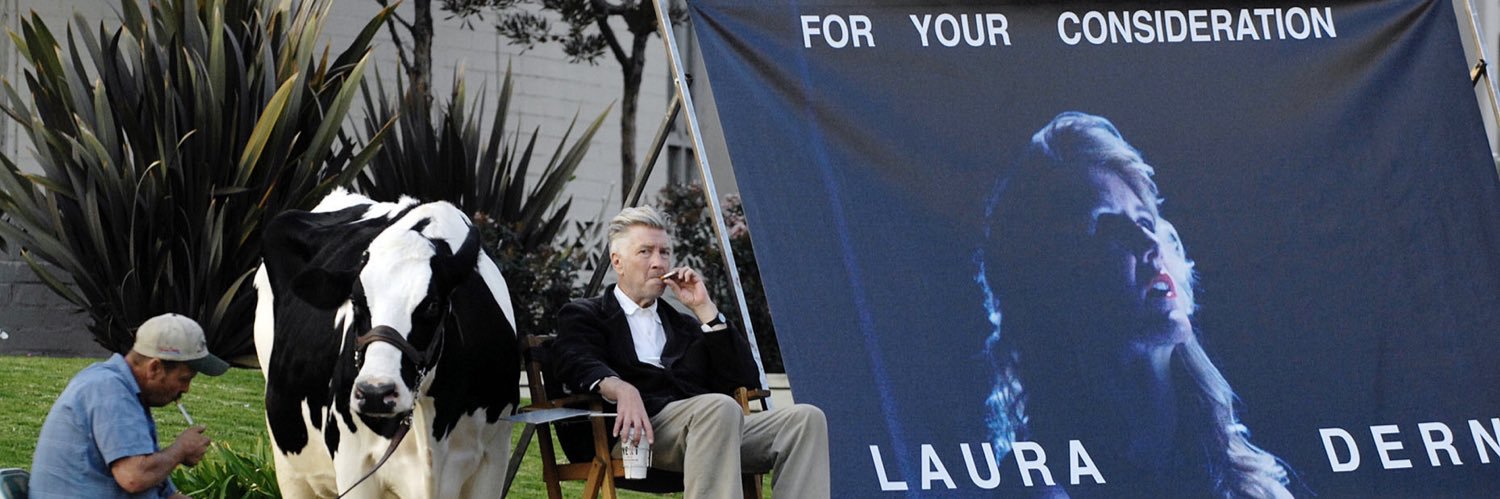immature little blue heron banner