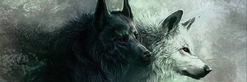 daviddumat's profile banner image