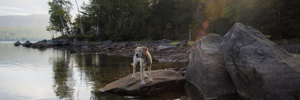 apscott Profile Banner