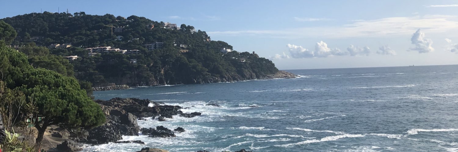 rachlvee's profile banner image