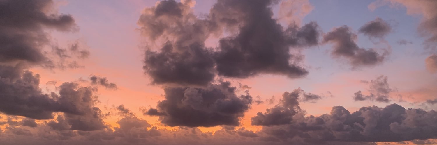 LiizColiin's profile banner image